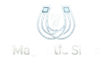 Magnetic Slots
